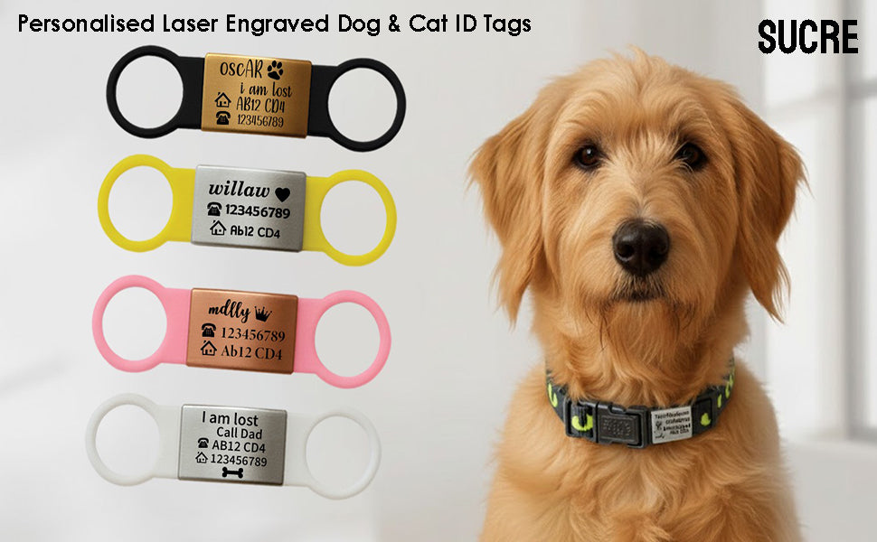 SUCRE Laser Engraved Dog Tags and Cat Tag on Steel-Silicone Band Dog Tag, Slide-On Dog Tags for Pets Engraved UK in 6 Colors | Pet ID Tags for Dogs, Dog Accessories & Puppy Accessories
