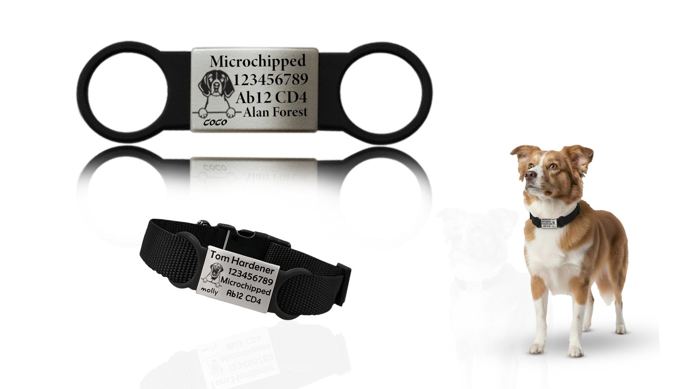 Sucre Tags Slide On Collar Silicone Rectangle ID Name engraved ID name personalising engraving pet dog cat tag tags