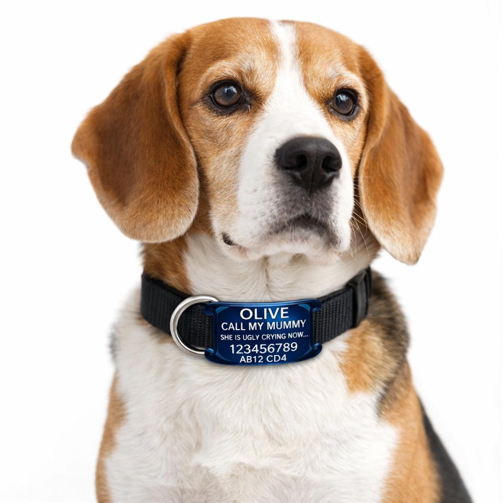 SUCRE Pet Tag Dog Tags for Pets Engraved UK, Slide On Stainless Steel Curved and Flat Personalised Dog Tag, Cat Collar with Name Tag, Dog tag Engraved and Dog Name Tags