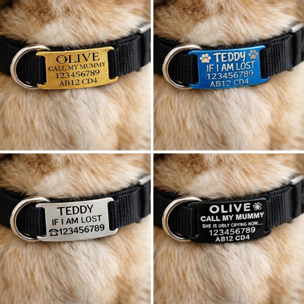 SUCRE Pet Tag Dog Tags for Pets Engraved UK, Slide On Stainless Steel Curved and Flat Personalised Dog Tag, Cat Collar with Name Tag, Dog tag Engraved and Dog Name Tags