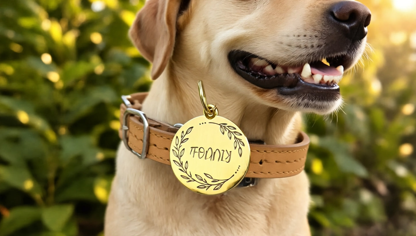 Sucre Tags Gold Double side engraved ID name Round Disc Personalising Engraving Pet Dog Cat tag tags-Laser Engraving