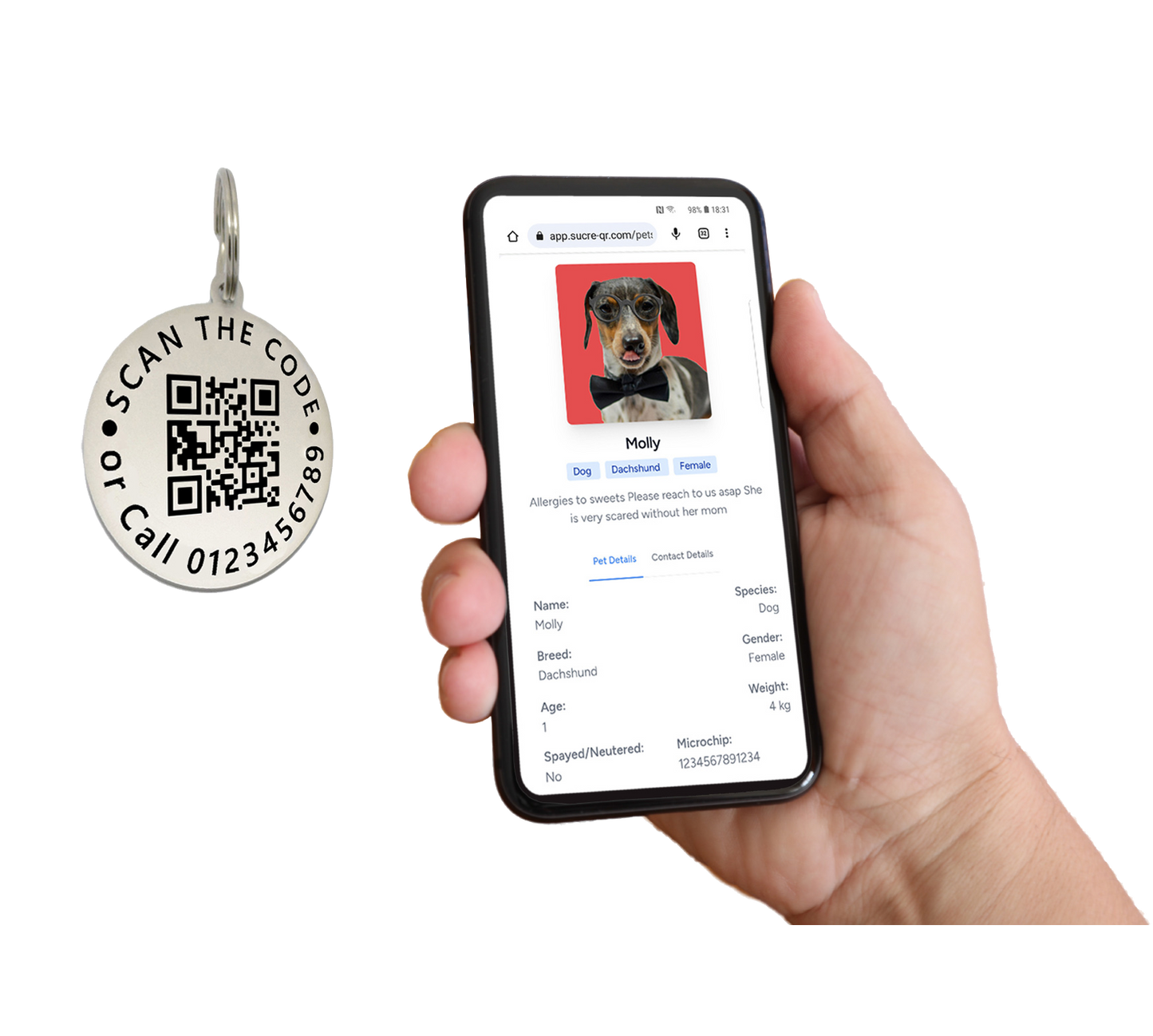 Sucre Tags Double side engraved ID name Dog Breed Face Round QR Code Supported Scan Disk personalising engraving pet dog tag tags-Laser Engraving + 1 Year QR App Subscription